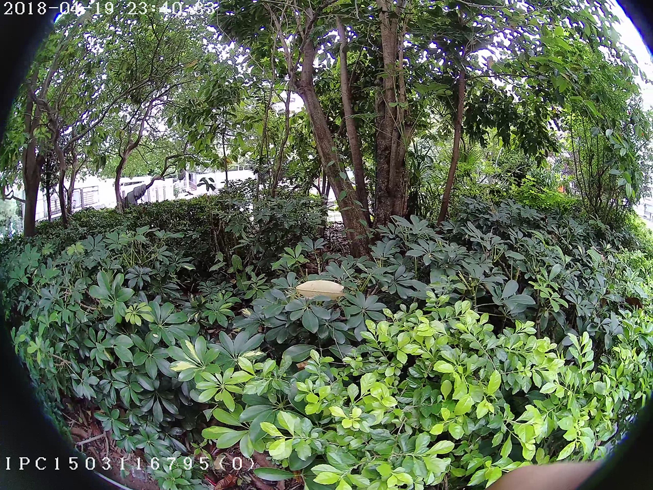 hupuu_Camera1_hupuu_20180424175430_491453-1280.jpg